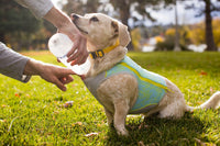 Ruffwear Swamp Cooler Zip Vest - Final Sale*